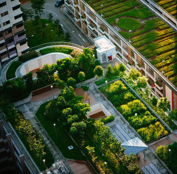 Green Roofs