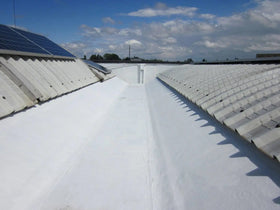 Roof Paints and Coating Systems