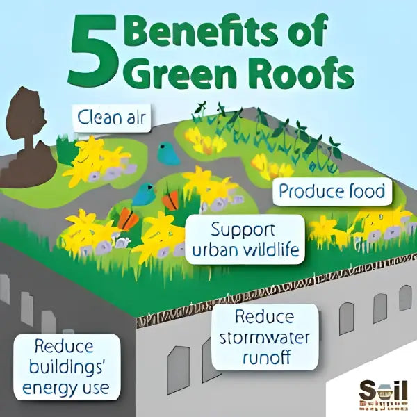 Illustration of green roof benefits with CleverShield CM20 Geotextile Membrane