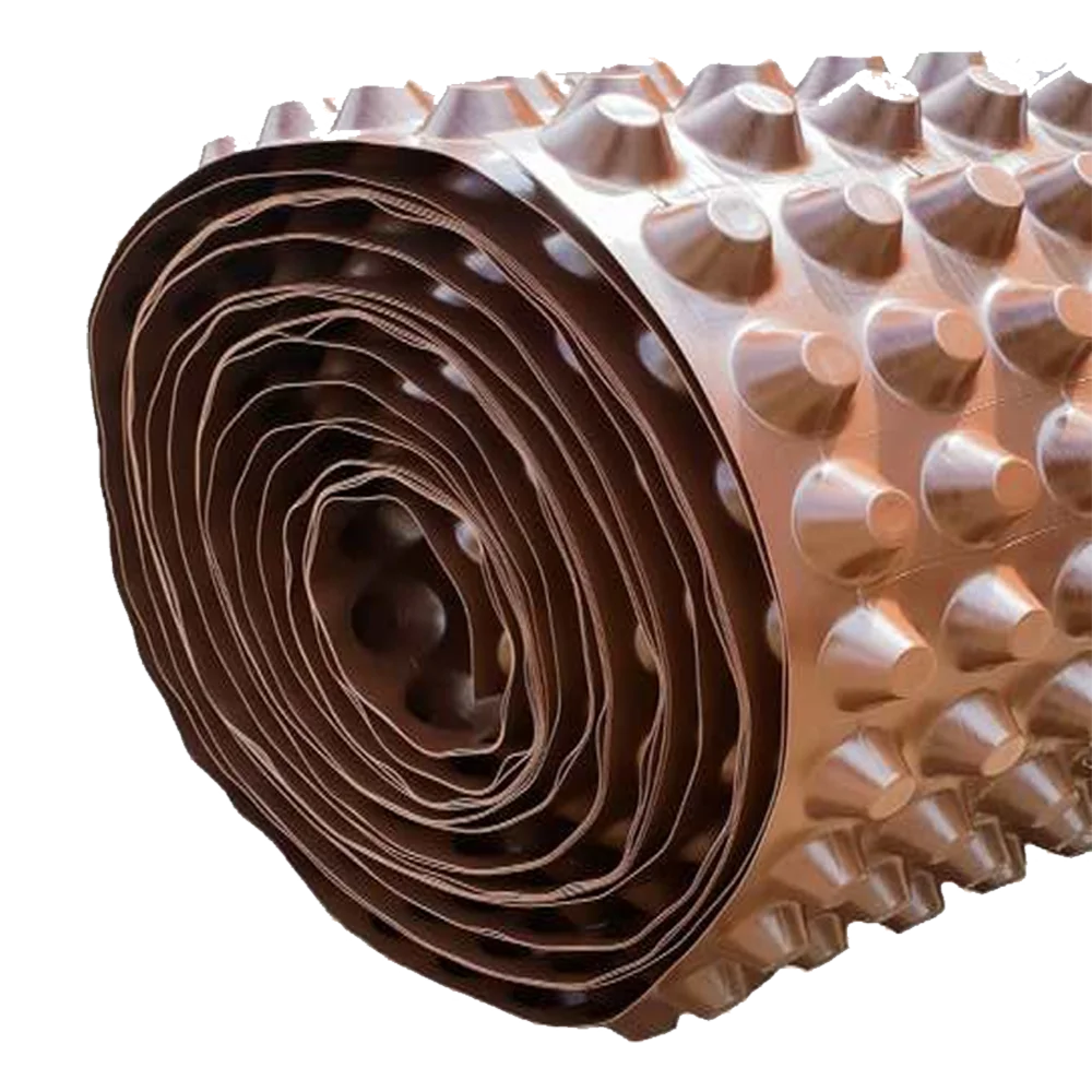 RIW Cavity Drain R20 membrane