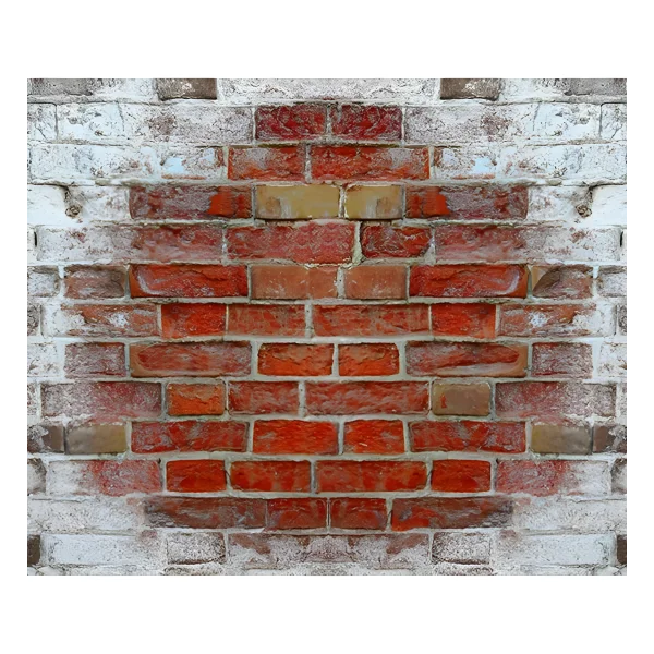 Wykamol Salt Neutraliser for Damp Renovation Wykamol No More Damp, Structural Coating, Structural Waterproofing,