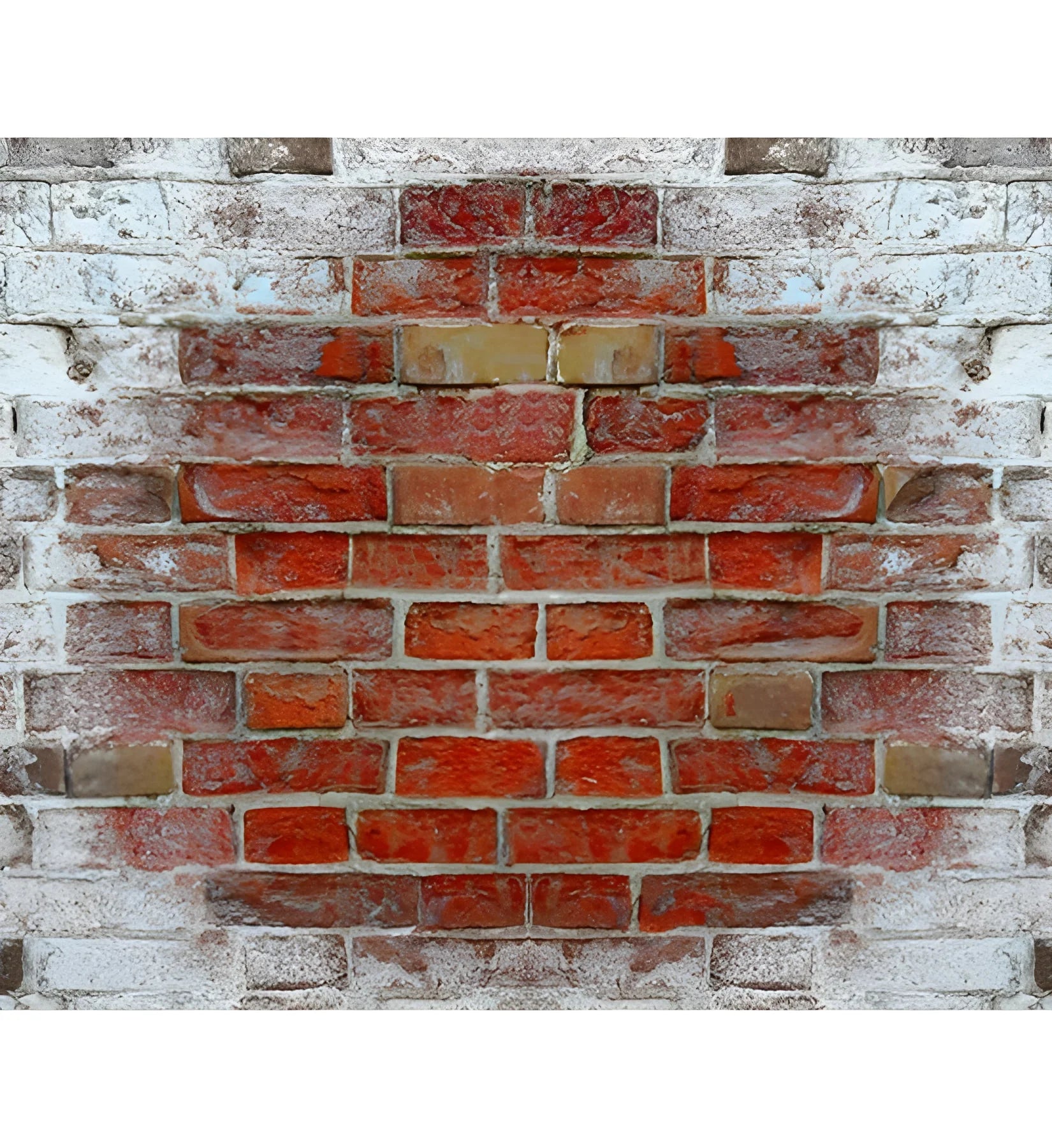 Wykamol Salt Neutraliser for Damp Renovation Wykamol No More Damp, Structural Coating, Structural Waterproofing,