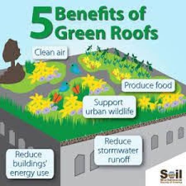 Illustration of green roof benefits with CleverShield CM20 Geotextile Membrane