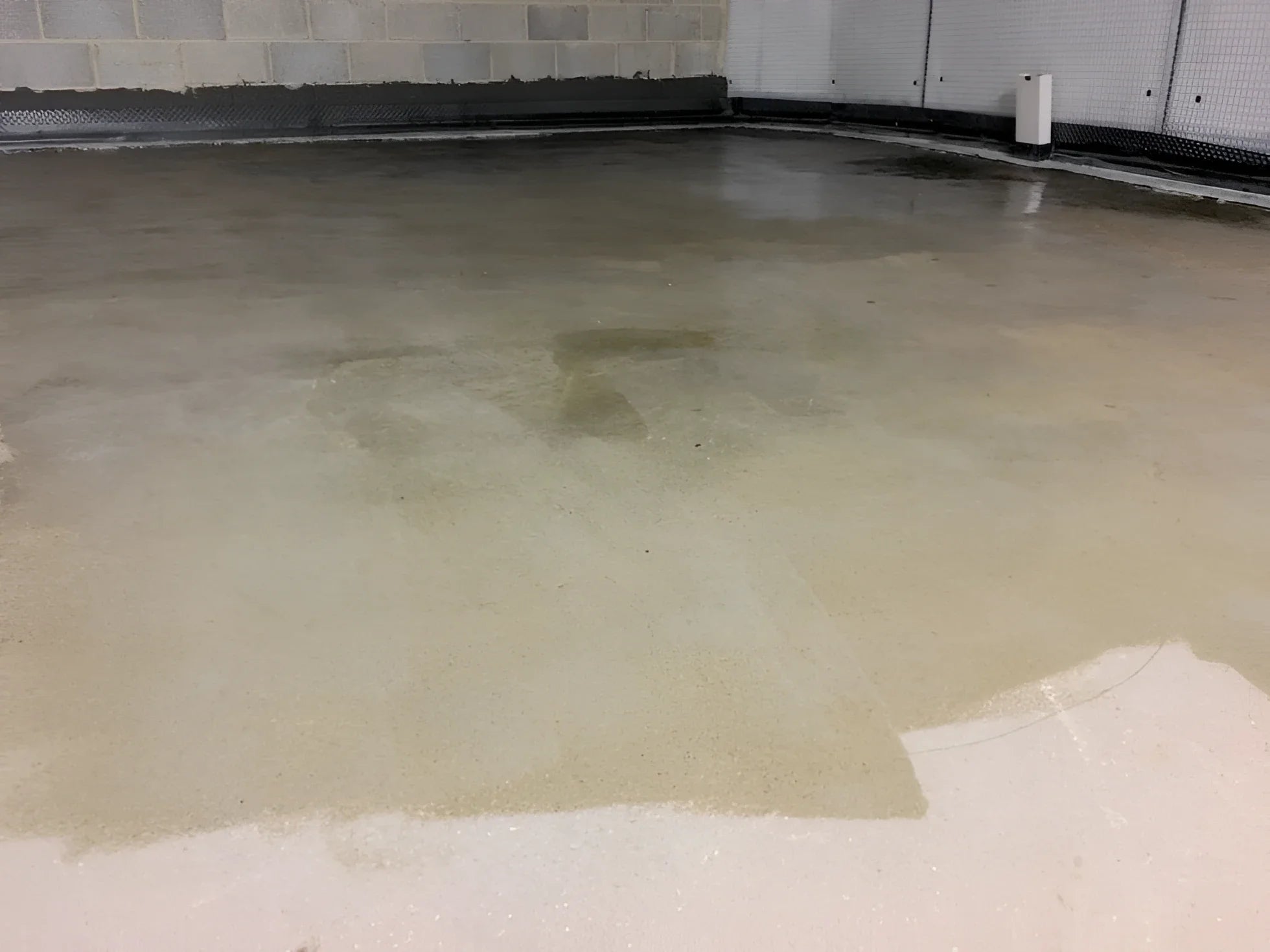 NewCoat DampSafe 901-P Primer Waterproofing clear coating, Damp, Damp Proof Coating, Damp Proof Membrane, Damp Proofing