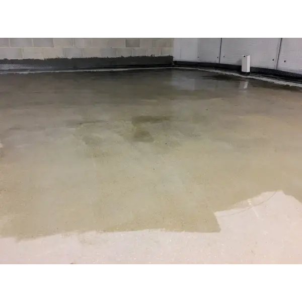 NewCoat DampSafe 901-P Primer Waterproofing clear coating, Damp, Damp Proof Coating, Damp Proof Membrane, Damp Proofing