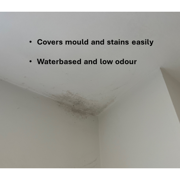 Mold-covered wall corner demonstrating SIRAMIGUARD ANTI MOULD effectiveness