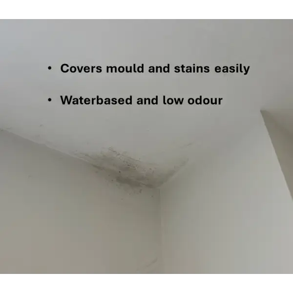 Mould-covered wall corner addressed by SIRAMIGUARD ANTI CONDENSATION product