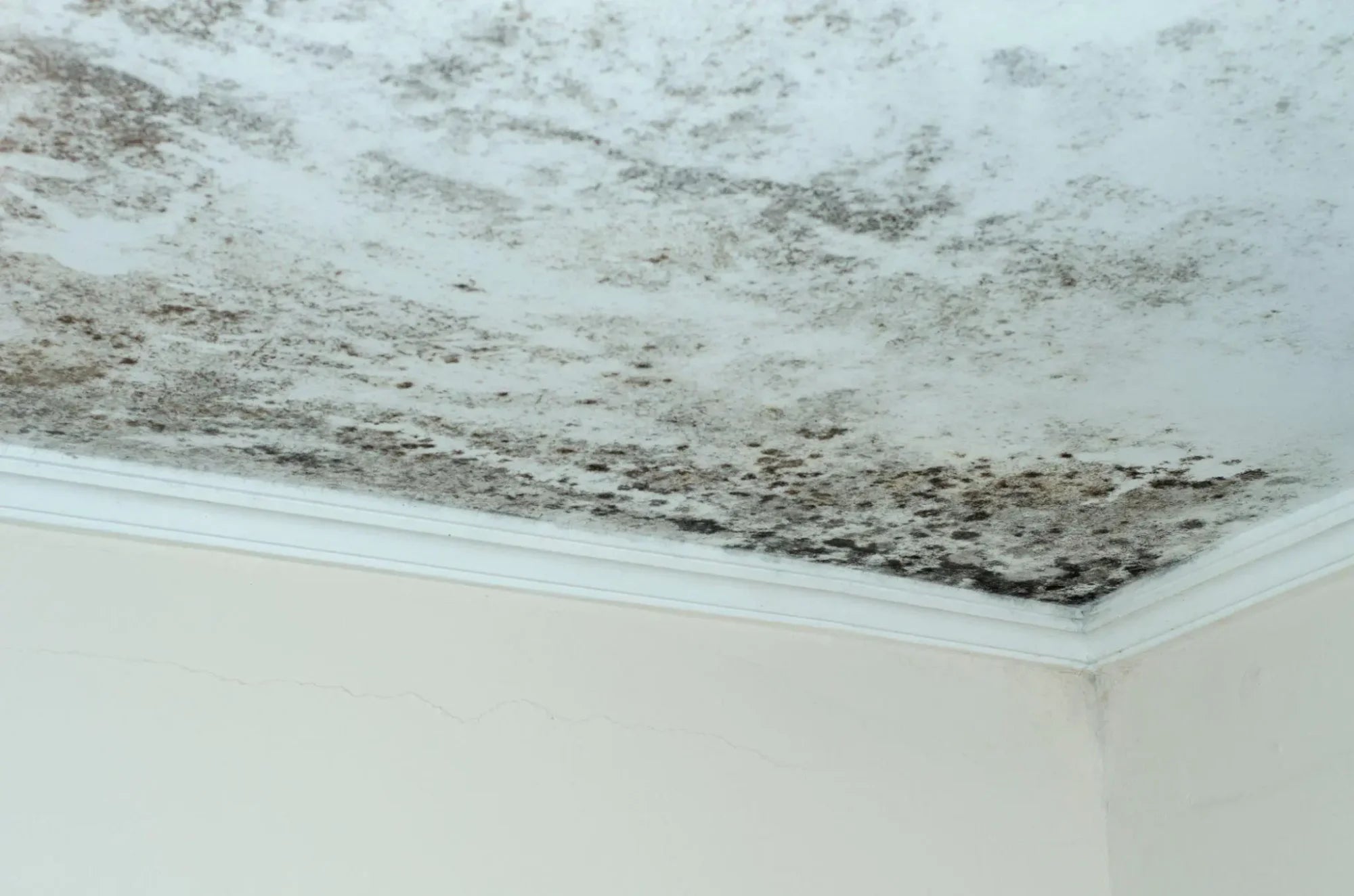 SIRAMIGUARD ANTI CONDENSATION