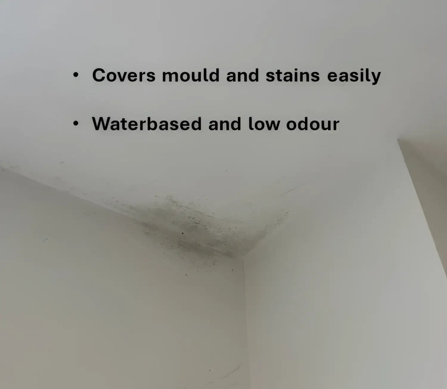 SIRAMIGUARD ANTI MOULD Clever Shield - Asset Protection Acrylic Coating, air tight wall coating, Anti Condensation