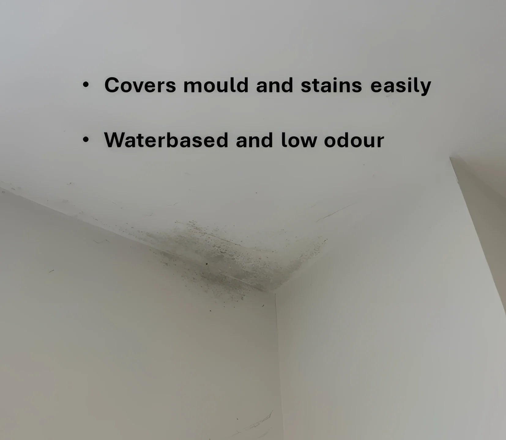 SIRAMIGUARD ANTI MOULD Clever Shield - Asset Protection Acrylic Coating, air tight wall coating, Anti Condensation