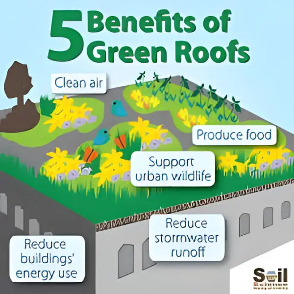 Illustration of green roof benefits on Triton CM20 Geotextile Membrane