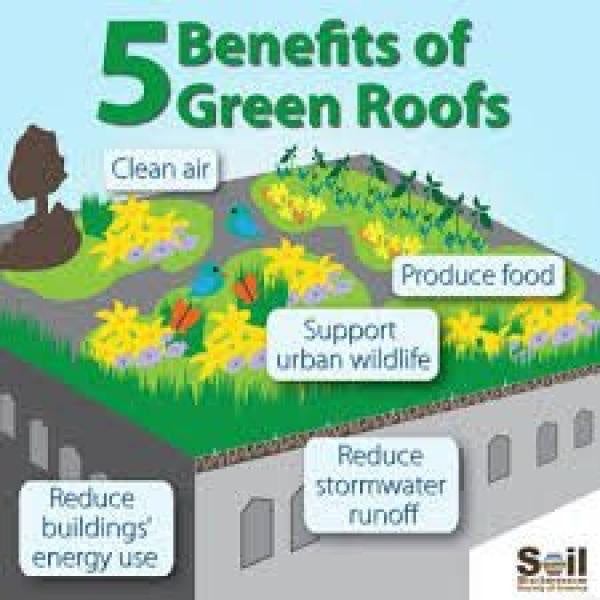 Infographic highlighting environmental benefits of green roofs on Wykamol CM8 product