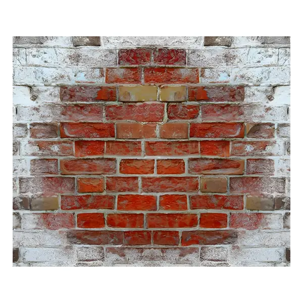 Wykamol Salt Neutraliser for Damp Renovation Wykamol No More Damp, Structural Coating, Structural Waterproofing,